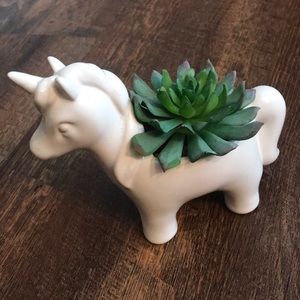 Unicorn Succulent